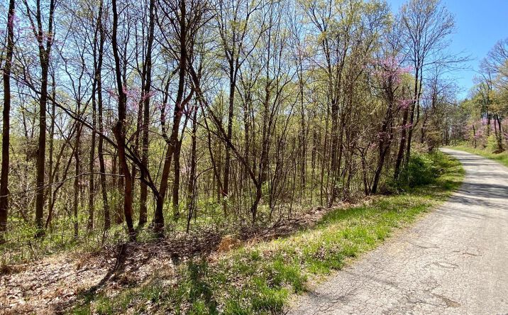 8.9ac Greenbriar Road, Bainbridge