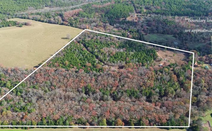9943 Rough Branch Rd, Mulberry