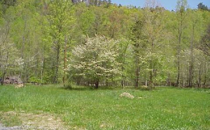 LOT Tusquittee Road, Hayesville