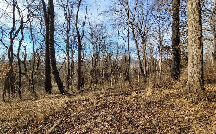 5.45 Ac Grays Lane, New Richmond