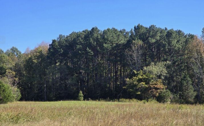Blackman Ln and Hwy 86 N, hillsborough