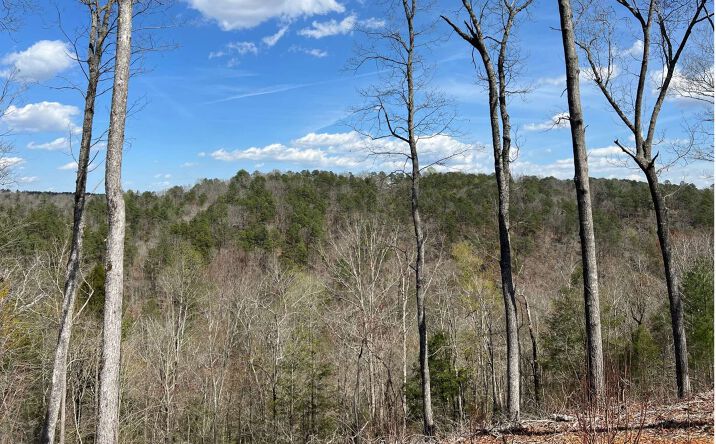 LOT87 Jakes Landing Overlook, Ellijay