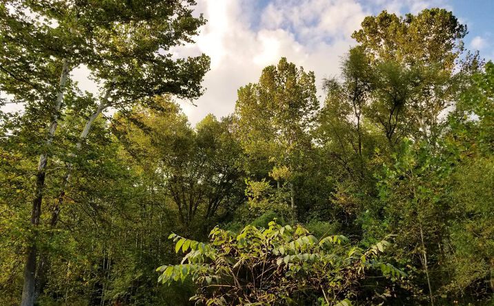 55ac Keesee Road, Vinton