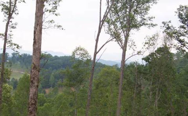 LOT2 Foxridge Court, Murphy