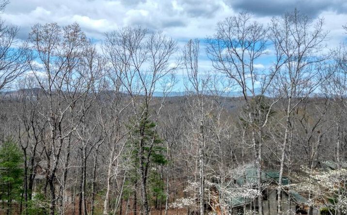 Lot 25 Cross Creek, Mineral Bluff
