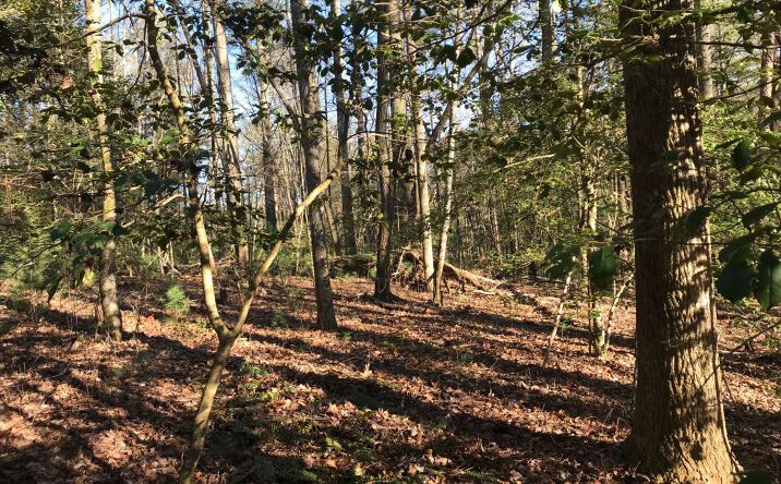 Lot15/16 Talona Rdge, Ellijay