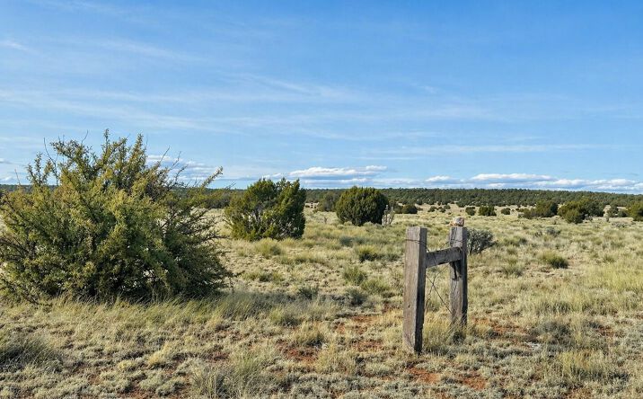78 N Miller Road, Seligman