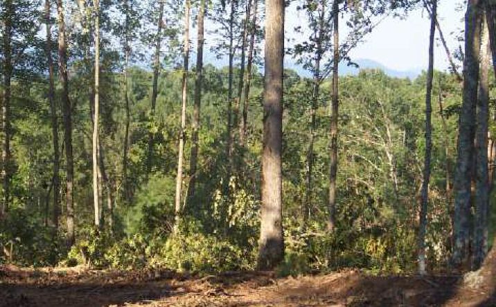 LOT15 Deer Ridge, Murphy
