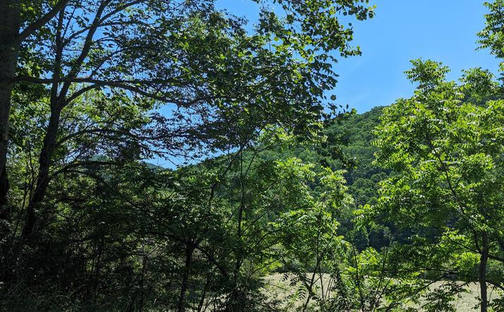 1.48 Daves Road, Morganton