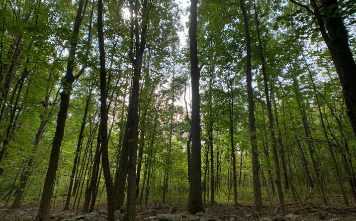 County Route 9, Canaan