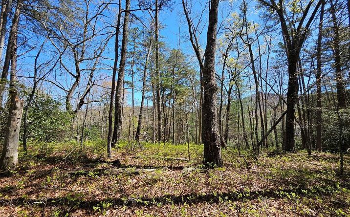 5.2 Deer Crest Road, Blue Ridge