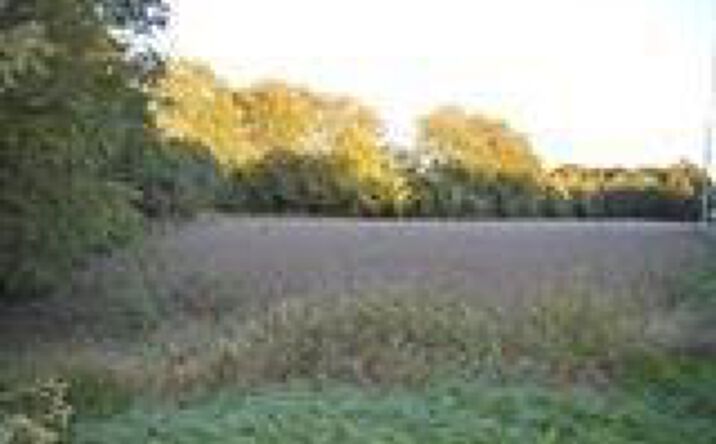 2.5ac Hamilton Middletown Road, Monroe