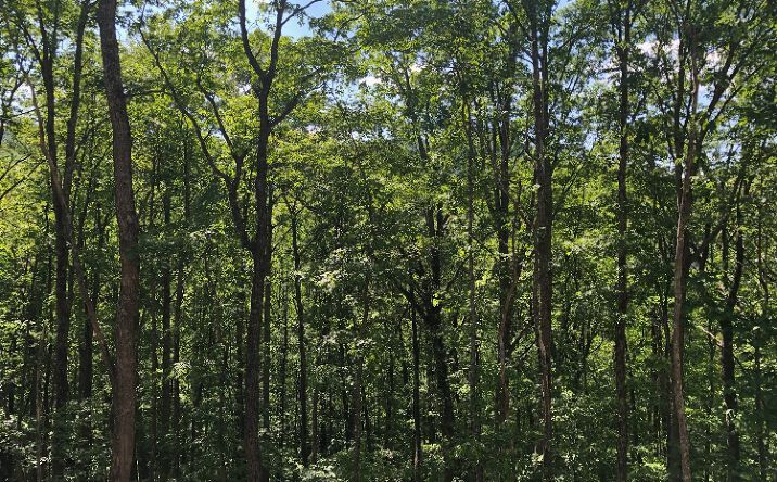 LOT 7 Blue Sky Overlook, Blue Ridge