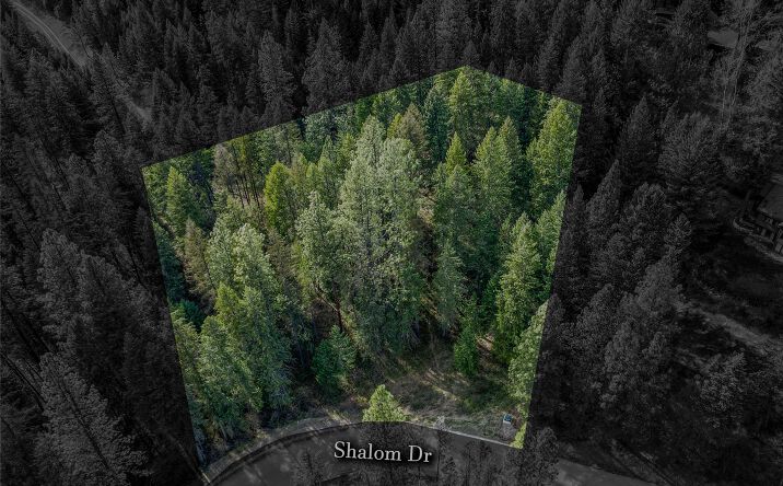 NHN Shalom Drive, Libby