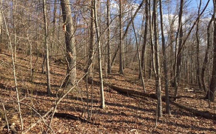 65.000ac Arion Road, Union Twp