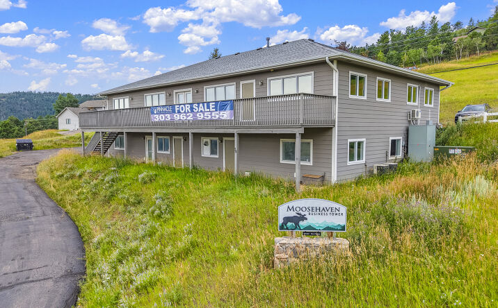 78 Beaver Brook Canyon Road, Evergreen