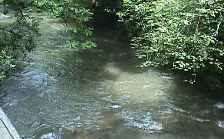 Hemlock Trail, Blue Ridge