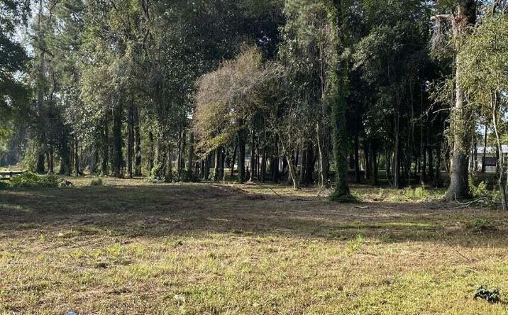 0 Old State Rd, Holly Hill