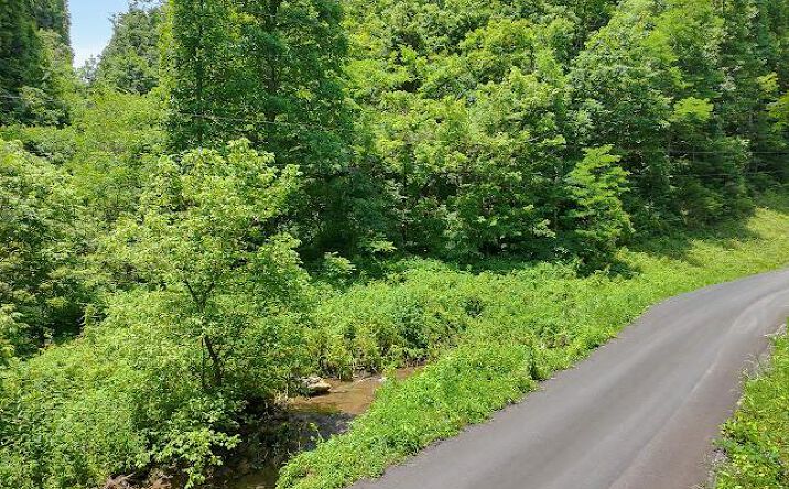 TBD Heralds Valley Road, Castlewood