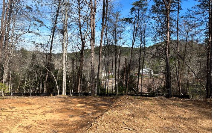 # 67 River Hills (Ashley), Mccaysville