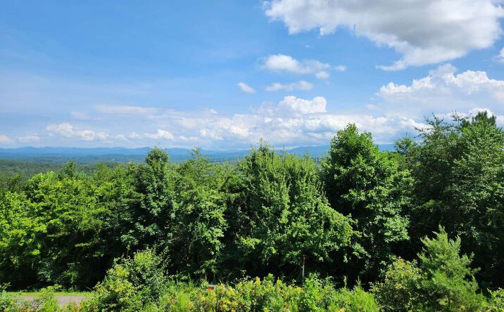 Lookout Lookout Drive Lt 33, Blue Ridge