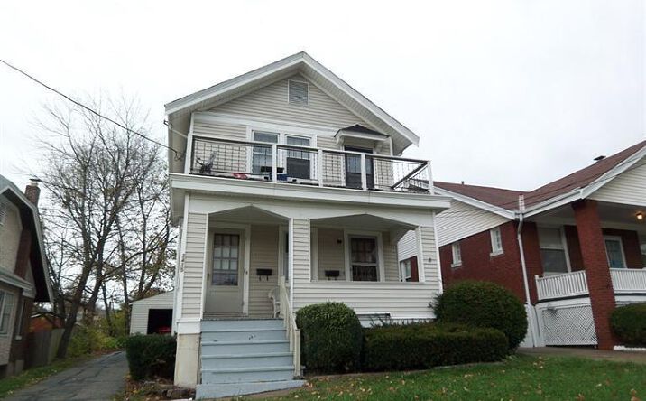 Mayfair Avenue, Cheviot