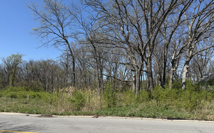 1190 E Greenview Place, Crown Point