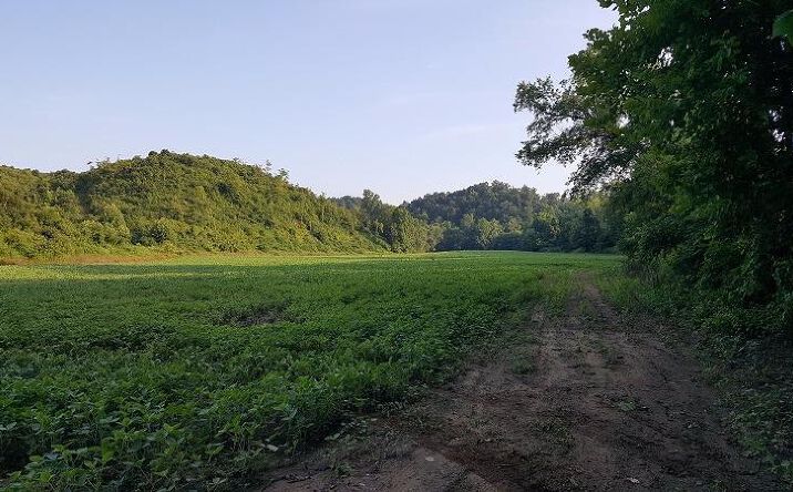 88ac Glassburn Road, Bidwell
