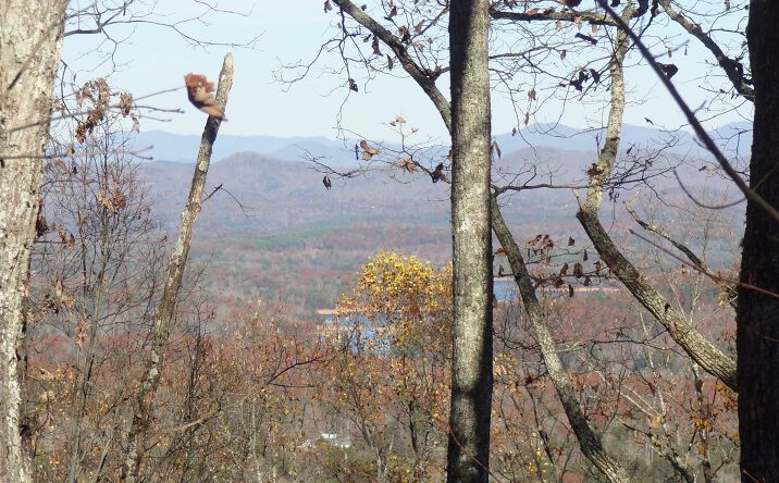 LT114 Laurel Brooke Phiii, Blairsville