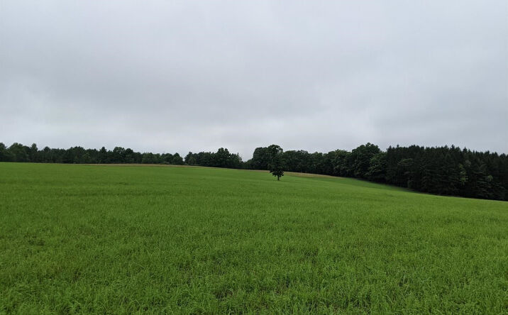 McCafferty Road, Durham