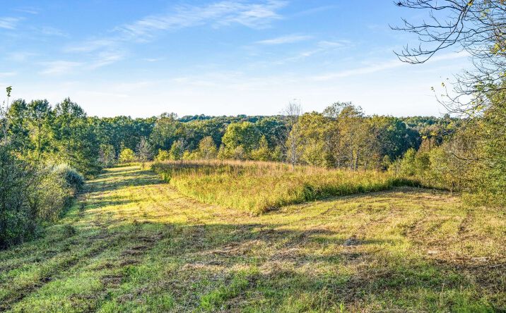 697 Johnson Branch Rd, Williamsport
