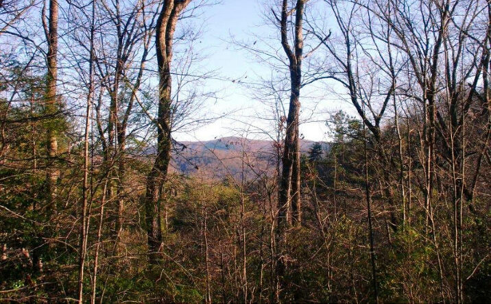 L 307 Lakota Trail, Blue Ridge