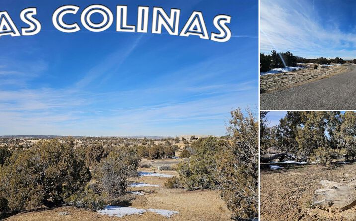 1811 Placitas Trail, Farmington