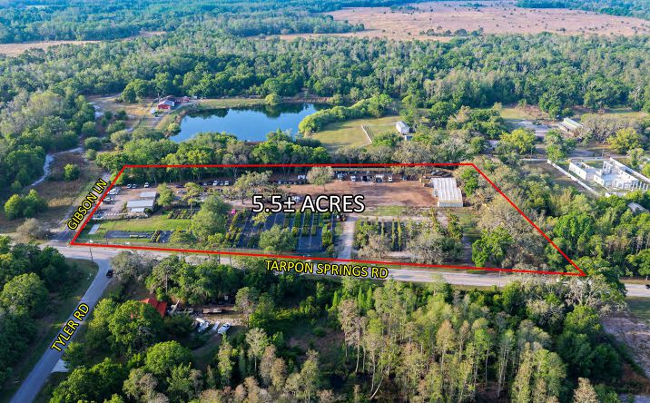 12980 Tarpon Springs Rd, Odessa