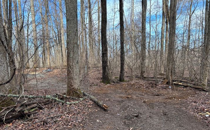 231 Bear Gap, Blairsville