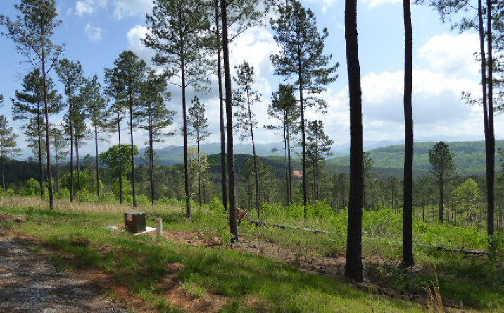 LT127 Thirteen Hundred, Blairsville