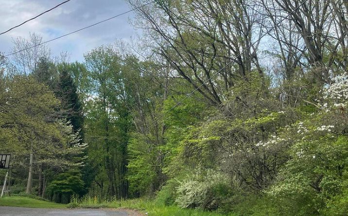 Sand Hill Rd, Montoursville