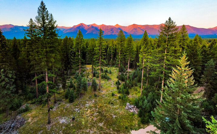 NHN Scenic Drive, Condon