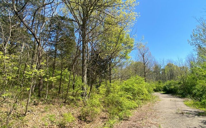 Grants Run Road, Washington Twp