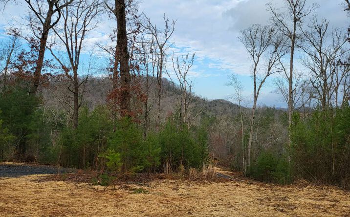 Lowery Road, Morganton