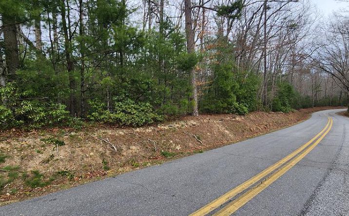 9.95AC Hicks Gap Road, Blairsville