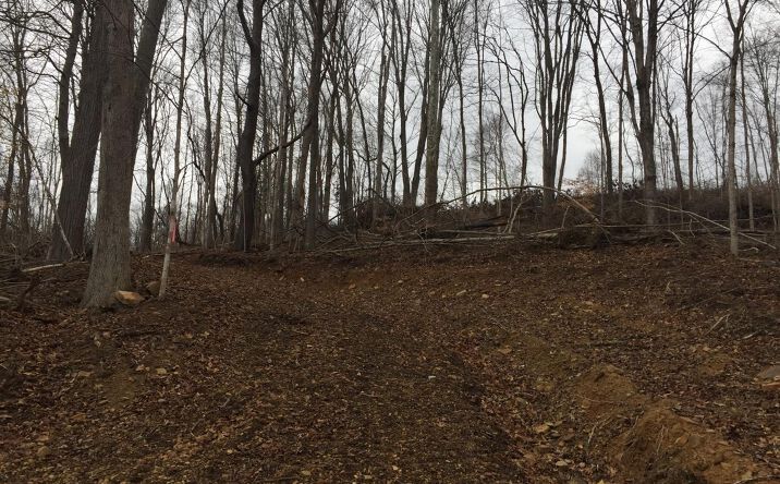 35.902ac St Rt 124, Benton Twp