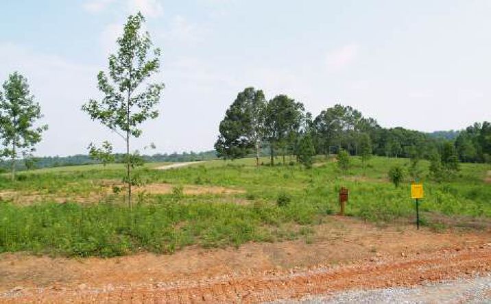 LT137 Fox Cove, Blairsville