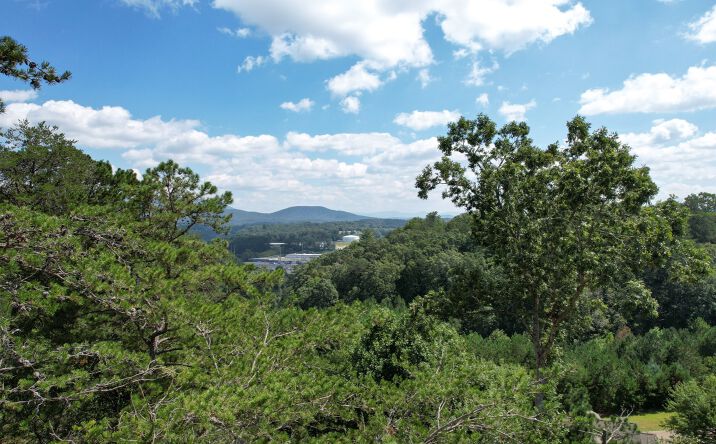 LT39 Summit View Drive, Ellijay