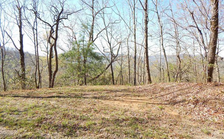 8-2-10-2 Tree Top Drive, Hayesville