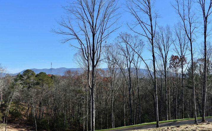LT 14 Mystic Drive, Ellijay