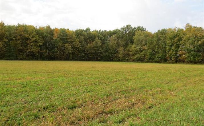 14.990ac St Rt 125, Georgetown