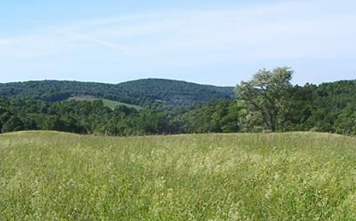 Cty Rt. 8A, Ancram