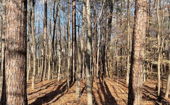 4631 Waters Edge Lane Nw, Acworth