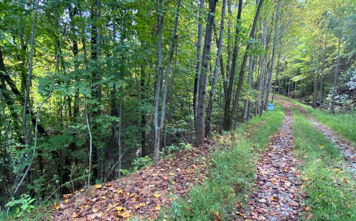 #28 Deer Crest Road, Blue Ridge